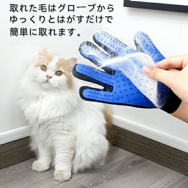 ��ξ��۸� ǭ ���롼�ߥ� ���롼�ߥ󥰥������� �Ӥ����ä������ �ޥå����������롪 ���롼�ߥ󥰥��å� �ڥå��� ¿���Ӽ��� �ޥå����� �������� ��С� �֥롼 �ԥ�/ �ڥå��� ���롼�ߥ󥰥�������