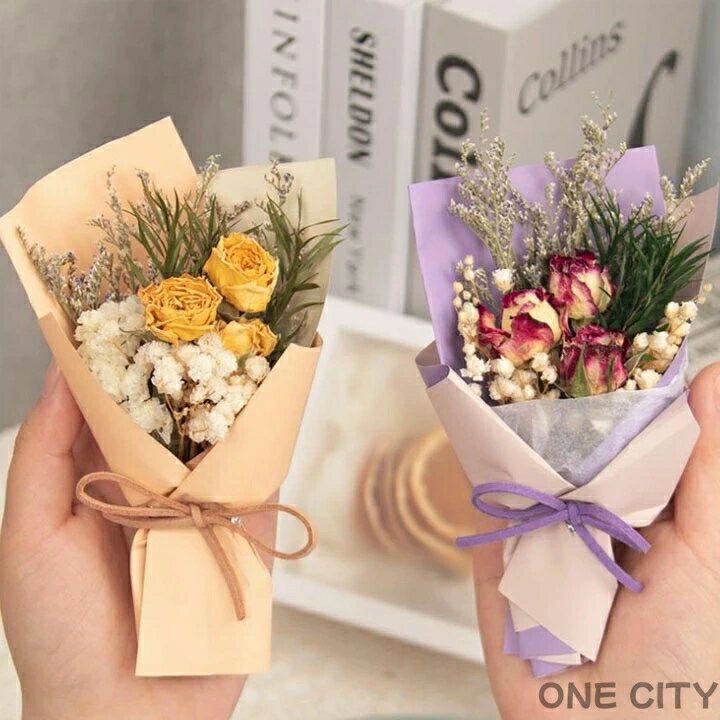 �ɥ饤�ե� �ߥ˥����� �Х� �ɥ饤�Х� �ߥ� ��� �ֺ� ��« ���ؾ��� �������� �ץ쥼��� ��Ϸ���� ����� ���� �� �ץ쥼��� ���� ���ե� ����...