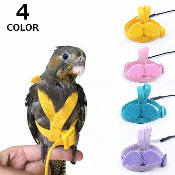 鳥用ハーネス リード オウムハーネス 小鳥用リード ハーネス 可愛い トレーニングロープ 鳥 インコ 屋外フライング 安全性 訓練用リード お出かけ 散歩 調整可能 鳥用品 鳥フライト縄 ペット用品 メール便
