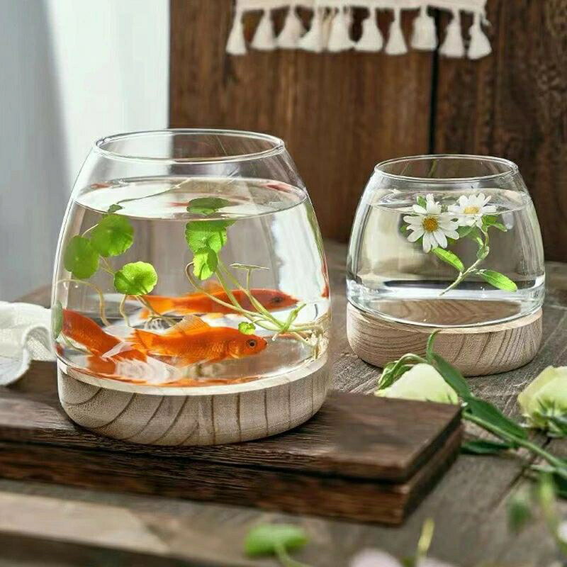 Select Loopの金魚鉢 ガラス 丸 金魚 水槽 小さい メダカ水槽 インテリア メダカ 容器 テーブル アクアリウム ボウル 水培 大容量 おしゃれ メダカ飼育容器 小型 メダカ飼育鉢 小さな魚の水槽 透明小さな水族館 飼育水槽 メダカ鉢 観葉植物｜アングル2