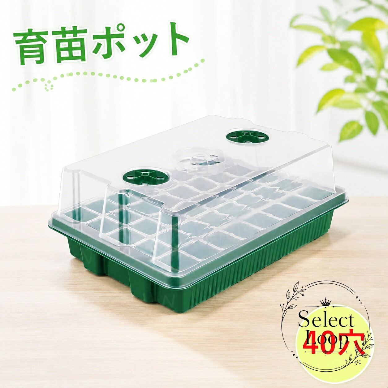 40穴タイプで、種まき後の苗をまとめて育てやすい育苗ポットです。透明カバー付きで、発芽後の管理や水やりの手間を抑えながら育苗しやすい構造です。家庭菜園、ベランダ菜園、園芸作業、野菜苗づくり、花苗づくりなどに使いやすいサイズ感です。省スペースで置きやすく、少量からまとめ育苗まで幅広く活用できます。商品特徴：40穴の育苗トレー、透明カバー付き、まとめ育苗に便利適用場面：家庭菜園、ベランダ、室内外の育苗、野菜や花の種まき?格信息：サイズ約37×24×13cm、コンパクト設計使用・注意事項：ご使用前に洗浄し、排水や通気の状態を確認してください。画像はイメージのため、実際の商品仕様を優先してください。40穴タイプで、種まき後の苗をまとめて育てやすい育苗ポットです。透明カバー付きで、発芽後の管理や水やりの手間を抑えながら育苗しやすい構造です。家庭菜園、ベランダ菜園、園芸作業、野菜苗づくり、花苗づくりなどに使いやすいサイズ感です。省スペースで置きやすく、少量からまとめ育苗まで幅広く活用できます。商品特徴：40穴の育苗トレー、透明カバー付き、まとめ育苗に便利適用場面：家庭菜園、ベランダ、室内外の育苗、野菜や花の種まき?格信息：サイズ約37×24×13cm、コンパクト設計使用・注意事項：ご使用前に洗浄し、排水や通気の状態を確認してください。画像はイメージのため、実際の商品仕様を優先してください。
