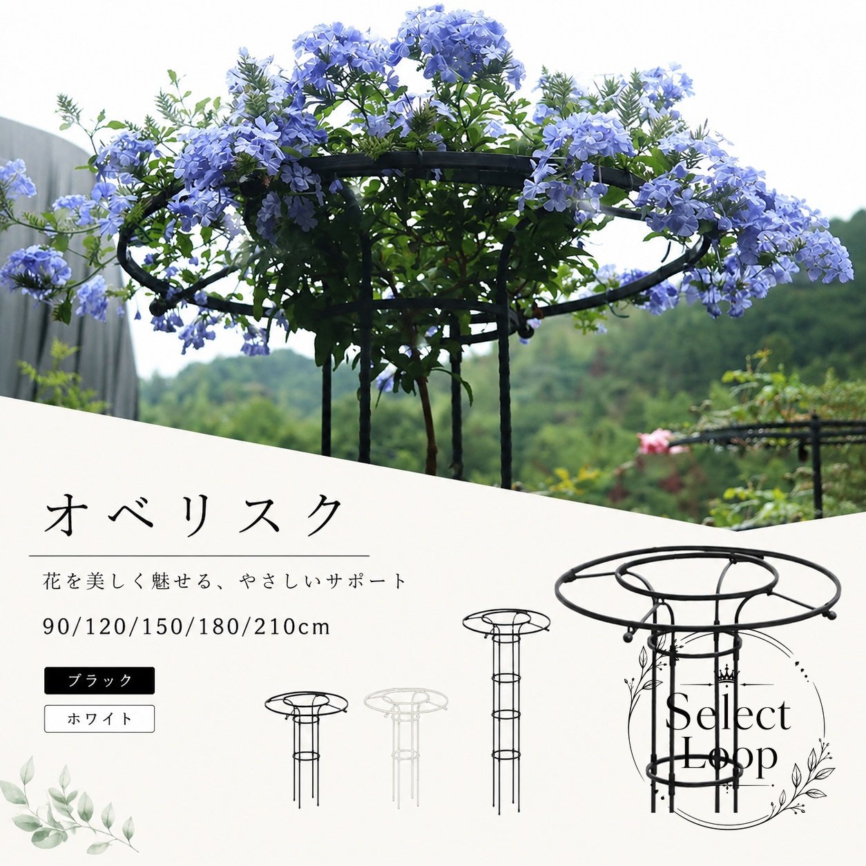 つる性植物の生長を支える、簡易組立式のオベリスク型園芸支柱です。スチールパイプ（樹脂コーティング）を採用し、庭やプランターまわりの装飾にもなじむすっきりしたデザインです。商品特徴：高さ調節ができ、植物の成長に合わせて使いやすい構造です。適用シーン：庭、ベランダ、テラス、バルコニー、植木鉢、プランター周りの設置に。規格情報：総高さ 90/120/150/180/210cm。素材：スチールパイプ（樹脂コーティング）、プラスチック。使用・注意事項：工具不要の簡易組立式です。サイズには多少の誤差が生じる場合があります。モニター環境により色味が異なる場合があります。バラ、クレマチス、朝顔などのつる性植物の誘引や、倒伏防止、見栄えのよいガーデン演出におすすめです。つる性植物の生長を支える、簡易組立式のオベリスク型園芸支柱です。スチールパイプ（樹脂コーティング）を採用し、庭やプランターまわりの装飾にもなじむすっきりしたデザインです。商品特徴：高さ調節ができ、植物の成長に合わせて使いやすい構造です。適用シーン：庭、ベランダ、テラス、バルコニー、植木鉢、プランター周りの設置に。規格情報：総高さ 90/120/150/180/210cm。素材：スチールパイプ（樹脂コーティング）、プラスチック。使用・注意事項：工具不要の簡易組立式です。サイズには多少の誤差が生じる場合があります。モニター環境により色味が異なる場合があります。バラ、クレマチス、朝顔などのつる性植物の誘引や、倒伏防止、見栄えのよいガーデン演出におすすめです。