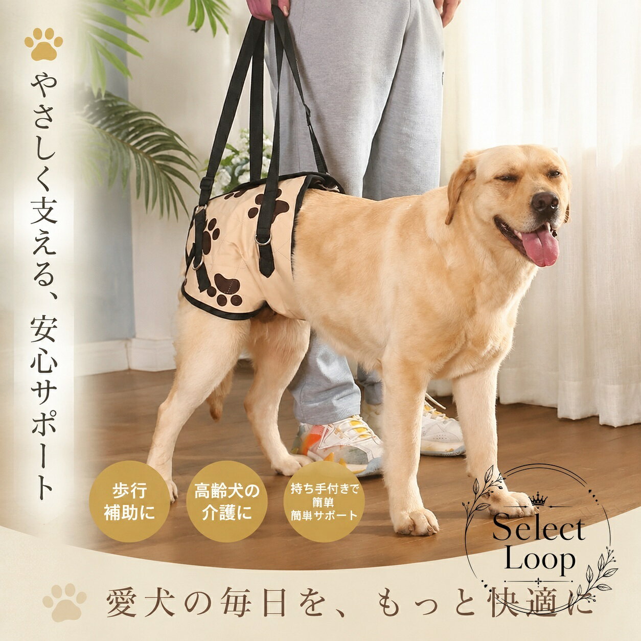 犬の歩行を補助する介護用ベルトです。前用・後ろ用を選べるため、体の状態やサポートしたい部位に合わせて使いやすい仕様です。商品特徴：お腹まわりを支えながら、歩行や移動を補助します。適用場面：老犬・高齢犬・シニア犬の介護、散歩、リハビリ、日常の移動サポートに。仕様情報：超大型犬サイズあり。前用・後ろ用を選択可能。使用上の注意：サイズは愛犬の体格に合わせてお選びください。長時間の使用や強い引っ張りは避け、必ず様子を見ながらご使用ください。犬だけでなく、体格や状態が合う場合の補助用途にも使いやすい歩行サポート用品です。犬の歩行を補助する介護用ベルトです。前用・後ろ用を選べるため、体の状態やサポートしたい部位に合わせて使いやすい仕様です。商品特徴：お腹まわりを支えながら、歩行や移動を補助します。適用場面：老犬・高齢犬・シニア犬の介護、散歩、リハビリ、日常の移動サポートに。仕様情報：超大型犬サイズあり。前用・後ろ用を選択可能。使用上の注意：サイズは愛犬の体格に合わせてお選びください。長時間の使用や強い引っ張りは避け、必ず様子を見ながらご使用ください。犬だけでなく、体格や状態が合う場合の補助用途にも使いやすい歩行サポート用品です。