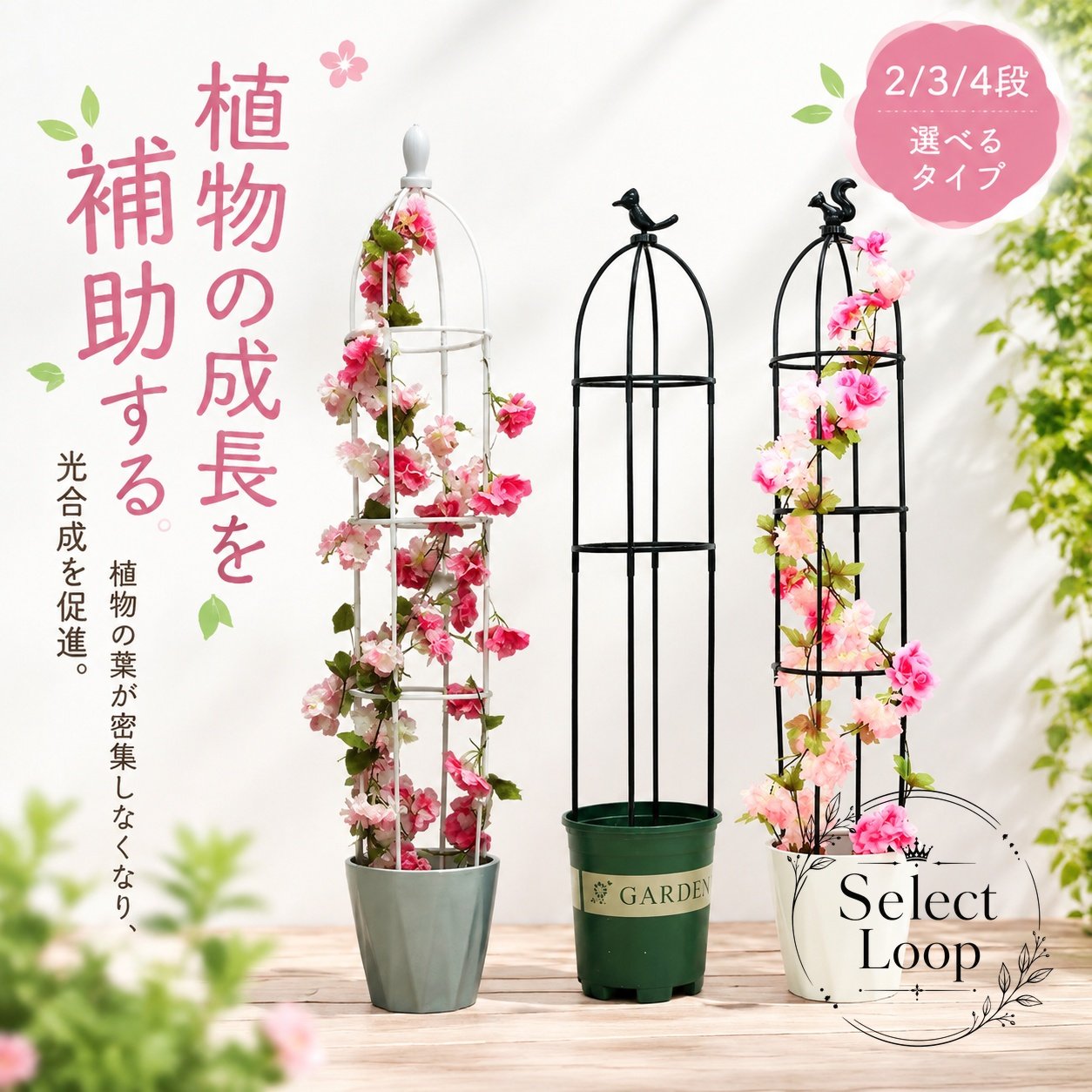 楽天市場】クレマチス 鉢植え（エクステリア・ガーデンファニチャー