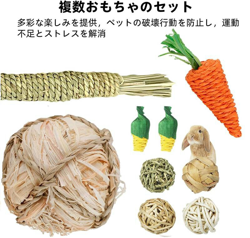 ��ưʪ ������ �ϥॹ���� ����å� ������� ������� �͵� �������� ?�� ������� ͷ��ƻ�� (8 �����å�)