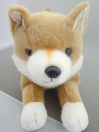スターチャイルドぬいぐるみ柴犬這型37cm【送料無料】(イヌ、いぬ、犬、ドッグ、人形、玩具、おもちゃ、ぬいぐるみ、キャラクターグッズ、プレゼントに最適)(楽天ランキング受賞・ぬいぐるみイヌランキング9位、2015/3/30デイリー)