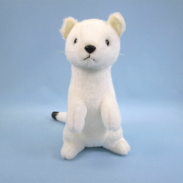 【PLUSmm】【スターチャイルド 正規品】 ぬいぐるみ オコジョ（1348） 【送料無料】（動物 人形 玩具 おもちゃ ぬいぐるみ キャラクターグッズ プレゼントに最適）