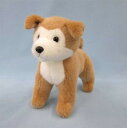 【スターチャイルド 正規品】 ぬいぐるみ 秋田犬 27cm 【送料無料】(イヌ、いぬ、犬、ドッグ、人形、玩具、おもちゃ)