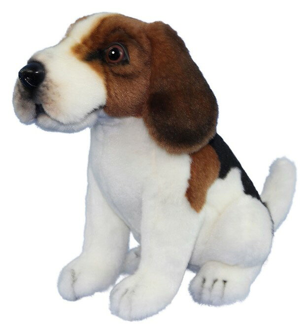 Dog - 【PLUStt】HANSA正規品　TC ビーグル 15 BEAGLE　8420【送料無料】（イヌ、いぬ、犬、人形、置物、オブジェ、ぬいぐるみ、キャラクターグッズ）