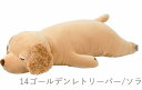 りぶはあと正規品【プレミアムねむねむアニマルズ】抱きまくら　Lサイズ【種類：ゴールデンレトリーバー  ...