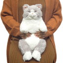 ひざねこ すやすや GY(P-6462-1) 【送料無料】(ねこ、ネコ、ぬいぐるみ、熊、人形、玩具、おもちゃ、キャラクターグッズ、プレゼントに最適)