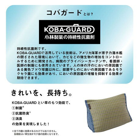 クッション くつろぎ い草 抗菌防臭 シンプル 小林製薬コバガード 『クリア ゆったりクッション』 約40×30×H20cm 【送料無料】(クッション、まくら,枕) [3]