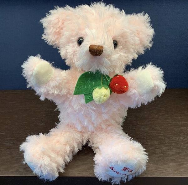 【PLUStt】【テイクオフ】ワイルドストロベリーベア ハンドパペット ピンク ぬいぐるみ 【送料無料】（くま、クマ、人形、玩具、おもちゃ、ぬいぐるみ、キャラクターグッズ、プレゼントに最適）