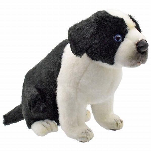 Dog - HANSA正規品　ボーダーコリー　5664【送料無料】（イヌ、いぬ、犬、ドッグ、人形、置物、オブジェ、ぬいぐるみ、キャラクターグッズ）