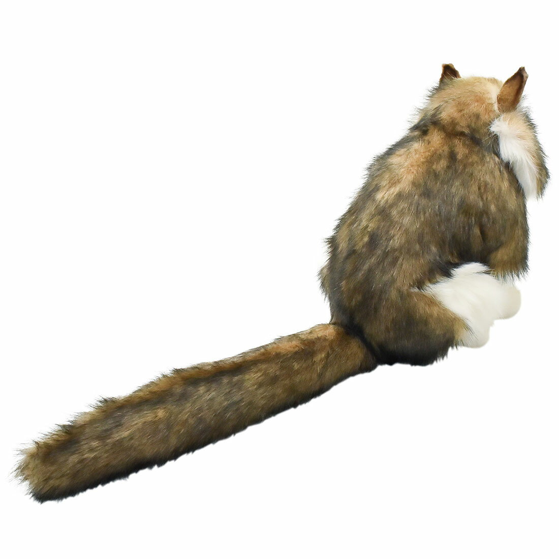 HANSA正規品　ノルウェージャンフォレストキャット 35 　8154【送料無料】（ネコ、ねこ、猫、キャット、人形、置物、オブジェ、ぬいぐるみ、キャラクターグッズ） 3