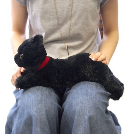 ■ひざねこ　BK 　Sサイズ（P-1972-1）【送料無料】（ねこ、ネコ、猫、ぬいぐるみ、人形、玩具 ...
