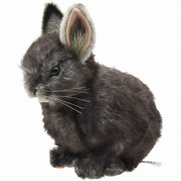 樂天商城 - HANSA正規品　ピグミーウサギ グレー 18 PYGMY RABBIT　8129【送料無料】（ウサギ、うさぎ、ラビット、人形、置物、オブジェ、ぬいぐるみ、キャラクターグッズ）