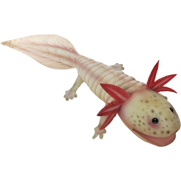 Rakuten - HANSA正規品　ウーパールーパー 45 AXOLOTL　7802【送料無料】（人形、置物、オブジェ、ぬいぐるみ、キャラクターグッズ）