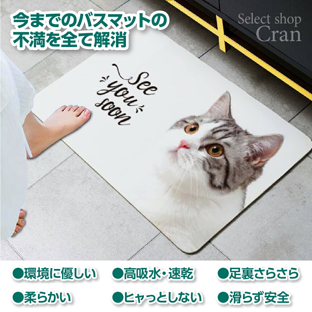 【ポイント3倍】珪藻土 バスマット ソフト 柔らかい すぐに乾く ひゃっとしない ノ...