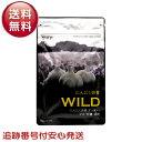 やずや にんにく卵黄WILD 62球 サプリメント マカ 亜鉛 にんにく 滋養 スタミナ ミネラル