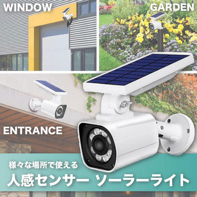 【 MAX20%OFF!当店買い回りクーポン配...の紹介画像3