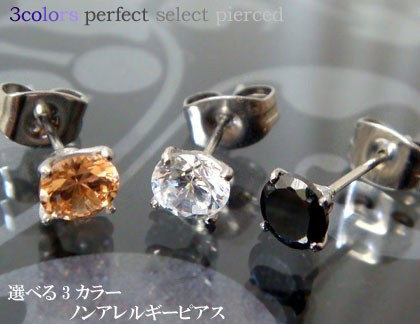 ピアス ステンレスピアス シャンパン ブラック CZ ステンレスアクセサリーst