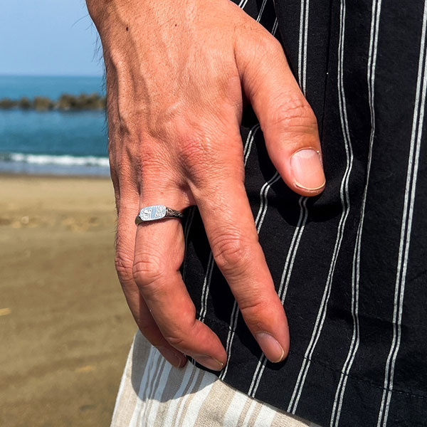 ���� ��� �ϥ磻���󥸥奨�꡼ ����å���� ���ƥ�쥹