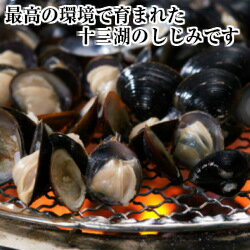 【送料無料】しじみ亭奈良屋　十三湖のしじみ　中粒　しじみ真空パック200g×3袋（砂抜き不要）　産地直送 2