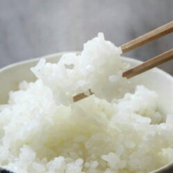 新米令和5年産　秋田県産　特別栽培米　あきたこまち　3kg　産地直送（25kgまで同梱可）