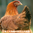 【送料無料】秋田比内や　比内地鶏　たっぷりお肉セット　産地直送 2