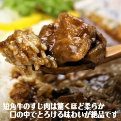 【送料込み】総合農舎山形村　いわて短角牛　すじ肉ごろごろカレー　1人前（180g）×2袋　岩手　産地直送