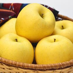 ※12/15頃から発送開始予定　岩手県産　訳ありりんご　希少品種　はる...(4)