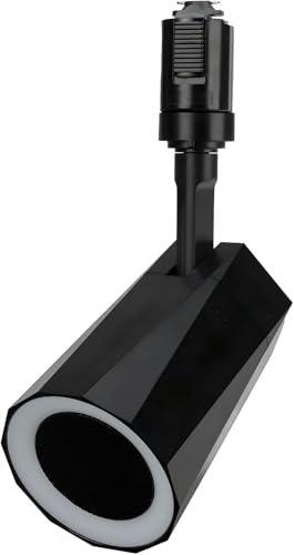 bluetooth LED スピーカー コンパクト ライティングレール用 ブルートゥース 12W リモコン付き LDRSPK12-BK (ブラック)