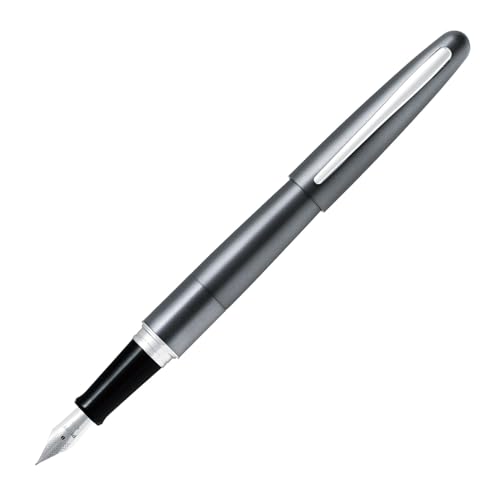 PILOT - パイロット 万年筆 コクーン メタリックグレー 細字 FCO-3SR-MGY-F