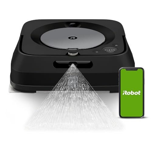 アイロボット(IRobot) ブ