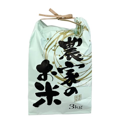 ���ӥˡ��� ����3kg�� ���湳�ݥ����� 10��