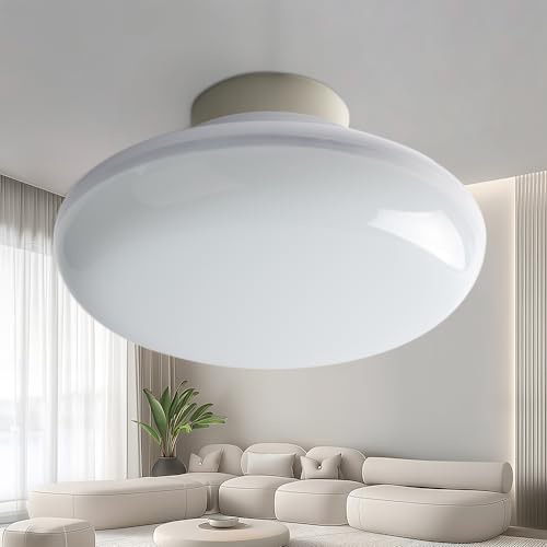 LED������󥰥饤�� 6�� 20W �ŵ忧 3000K 4�� 8�� ������󥰥饤�ȥߥ� LED ���� ���뤤 ����������󥰥饤�� �ߥ˥�����󥰥饤�� ��...