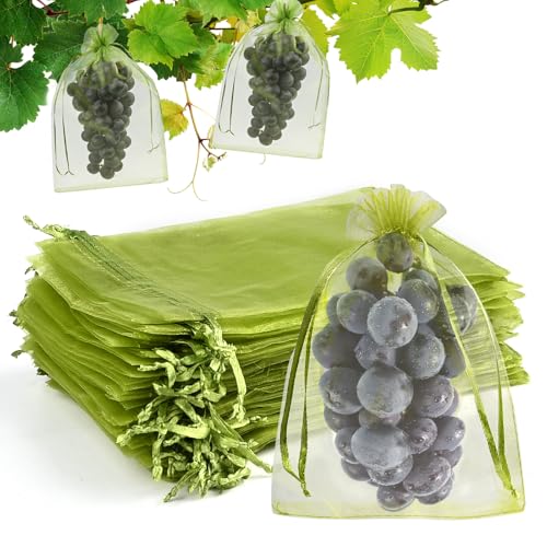 ROYUEXT 果実袋 ぶどう 袋 20*30cm 50枚入 大きいサイズ 果物 果実保護ネット ブドウ 袋 穴極細 害虫害..