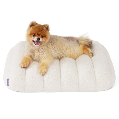 Lesure 犬 ベッド ペットベッド 防水 猫 ベッド クッション 小型犬用 ふわふわ 高反発 体圧分散 滑り止め 取り外せるカバー 洗える お手入れ便利 高齢犬/中小型犬/猫用/通年適用 かわいい ペッ
