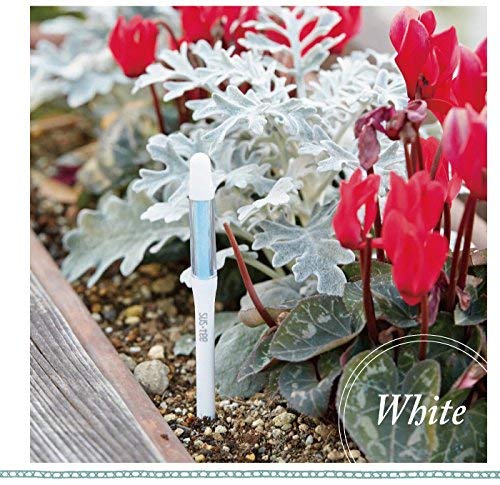 Flower Kitchen ��ʬ�� sustee �����ǥ˥� ���տ�ʪ ��ʪ��/FKKS (��ʪ�ѿ�ʬ�� �����ƥ��� L������ �ۥ磻��10�ܥ��å�)�ͥ��ݥ�ȯ��