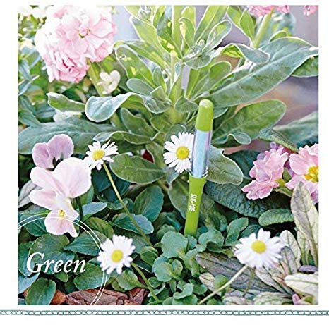 Flower Kitchen ��ʬ�� sustee �����ǥ˥� ���տ�ʪ ��ʪ��/FKKS (��ʪ�ѿ�ʬ�� �����ƥ��� M������ ���꡼��2�ܥ��å�)�ͥ��ݥ�ȯ��