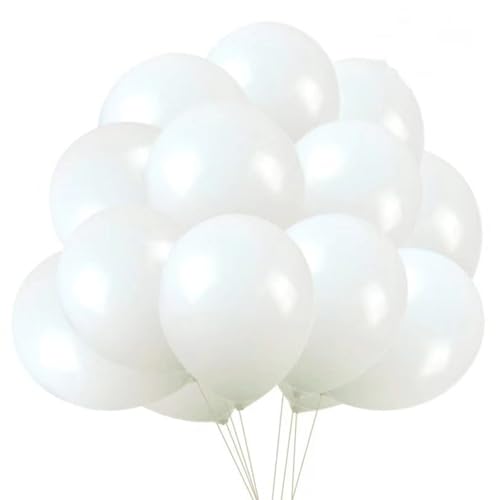 [ƥ]  Х롼 դ 100    ǥ   ٥ ץ饤 ݷ դ ...