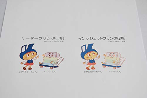 Ĺ�粰��Ź ���顼�ڡ��ѡ� ��-1401 A3�ø��� 50�� ����