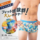 【 SALE クーポン利用で10%OFF 】 ボクサーパンツ メンズ 【 アウトレット セール 】 ボクサー 柄 まだら 模様 大きいサイズ ローライズ アンダ...