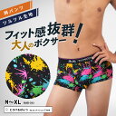 【 SALE クーポン利用で10%OFF 】 ボクサーパンツ メンズ 【 アウトレット セール 】 ボクサー 柄 ペイント ブラック 大きいサイズ ローライズ ...