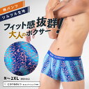 【 SALE クーポン利用で10%OFF 】 ボクサーパンツ メンズ 【 アウトレット セール 】 ボクサー 柄 ブルー 動物柄 大きいサイズ ローライズ アン...