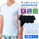 半袖 Tシャツ Vネック 