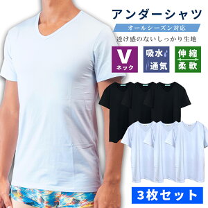 【セール クーポン利用で25%OFF】半袖 Tシャツ Vネック メンズ アンダーシャツ 無地 セット 3枚 綿 コットン 速乾 白 黒 ブランド アンダーウェア インナー とろけるぱんつ