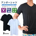 半袖 Tシャツ Vネック メンズ アンダーシャツ 無地 綿 コットン 速乾 白 黒 ブランド アンダーウェア インナー とろけるぱんつ