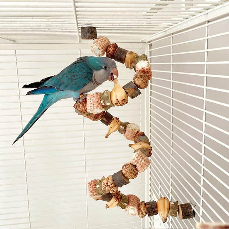 インコ かじり木 止まり木 おもちゃ はしご 登り遊び インコ 遊びおもちゃ 鳥かご...